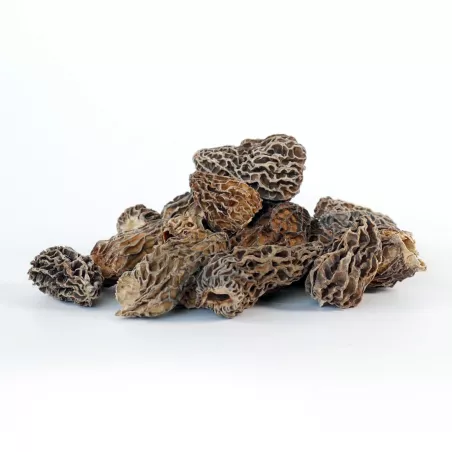 Morilles déshydratées